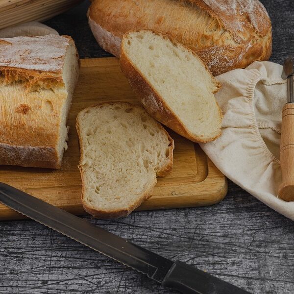 ¿Cuál es el mejor tipo de envase para almacenar alimentos?